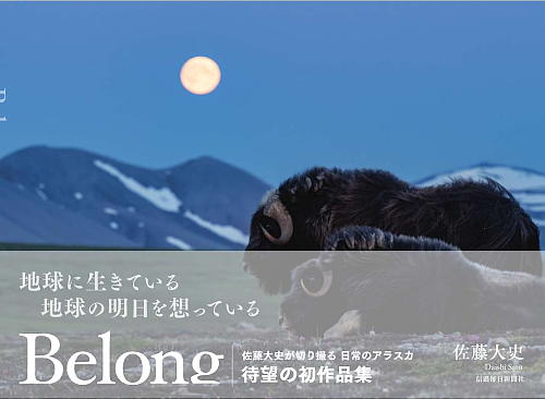 Belong(ビロング)