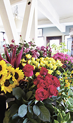 色とりどりの花が並ぶ
