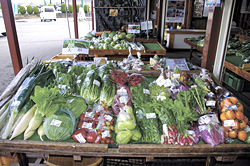 旬の新鮮野菜が勢ぞろい