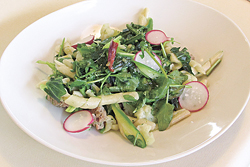 手打ちのパスタ「ブズィアーテ」を使った一皿。地場産の山菜と野菜がたっぷり