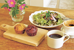 東ティモール産の有機栽培豆で入れた「珈琲」とマフィン(左:にんじん 右:ココア)、モーニングサラダ