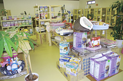 ペットフードやグッズが並ぶ店内