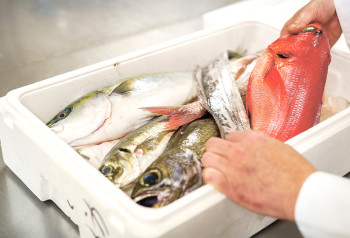 ▲伊豆・川奈港直送の鮮魚を使用