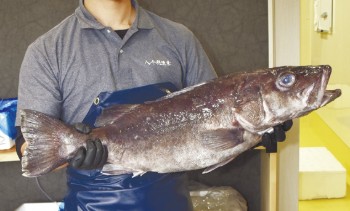 あの店この店＝八千穂漁業直売所